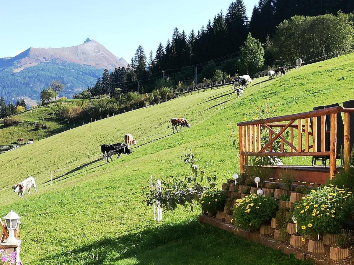Urlaub Am Krausberghof, Apartment Mit Balkon Und Parkplatz, Inmitten Der Natur, Sauna Und Infrarotkabine, Kostenfreie Kaffeekapseln, 6 Fahrminuten Zur Alpentherme Gastein Und Zur Schlossalmbahn, Spielplatz Бад-Гофгаштайн Екстер'єр фото